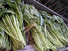 女性常吃此菜，调理月经，活血化瘀，子