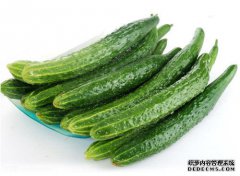  黄瓜好吃却不能乱吃，春天吃黄瓜有1大