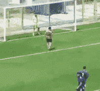  搞笑GIF: 有一个智障晚期的主人是怎样的