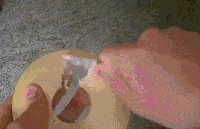  搞笑GIF: 这个东西我能玩一天呢