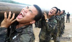 高原上的运输兵：“只要部队需要，我就