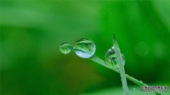  4月26号起，风柔柔，爱无涯，心心相印到