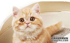  3天以后，甜蜜如初，旧情缠绕，3星座握