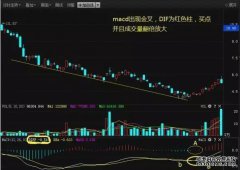  A股永远发财的人：选股只需要看懂这”