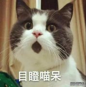 老板夜不能寐的真相：个人卡进账多少，