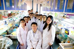 天津大学课题组研发新型