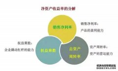 价值投资入门之净资产收益率丨炒股训练