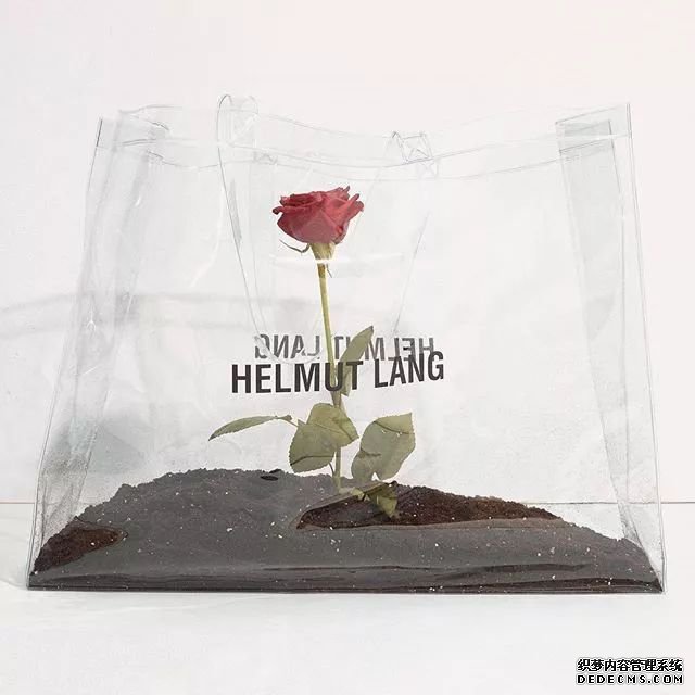 Instagram时尚账号推荐