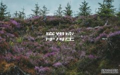双子座别乱接桃花，他们是你在七月份的