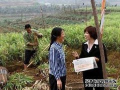 保险业务员退休需要具备什么条件？这几