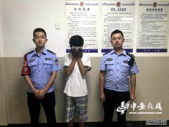 拦截落单女性做出不雅举动 变态男子被警
