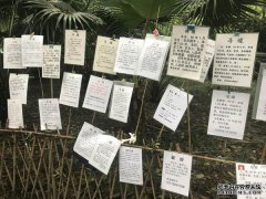想在相亲角有姓名 ＂地摊红娘＂:50元包月