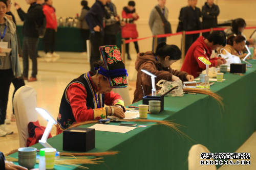 央视特别报道：居家远程就业或许是残疾人脱贫