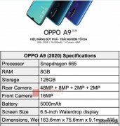 全新入门机型OPPO A9 2020曝光：骁龙665+后置