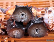 秋季女性要养生，推荐吃4种食物，消食开