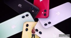 中国“iPhone11第一人”，却被网友骂惨了