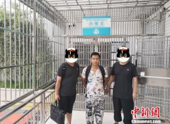 湖北警方打掉3个游戏外挂制售团伙 涉案