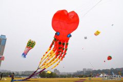2019江西省第四届大型风筝文化节在湾里举
