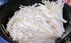 食用菌产业迎来发展机遇 机械化生产撑起