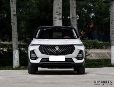 年轻人第一台SUV，卖10万全身智能科技，