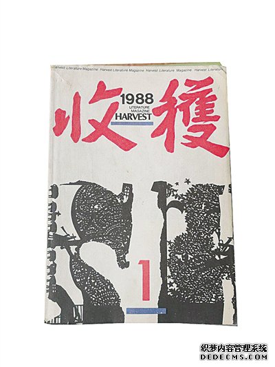广漠中有生命的穿行，壮阔中有灵动的游走