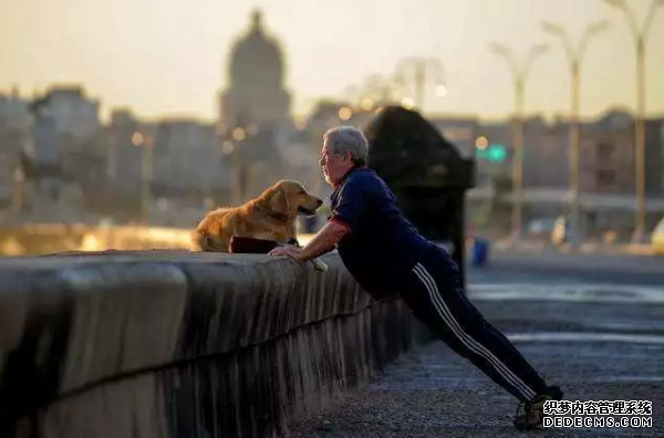 QQ截图20191111132327.png