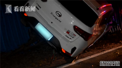 酒驾开上树！男子找人顶包被识破 还要连