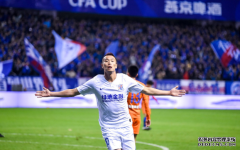 申花翻盘夺足协杯冠军，鲁能连续两年决