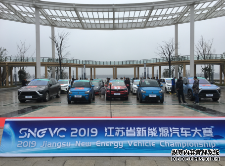 特斯拉等十大新能源品牌汽车集聚江苏如皋 展开