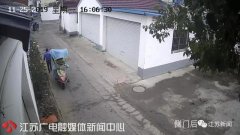 女子教唆9岁儿子偷快递被拘：孩子偷的大