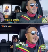 汪涵曾弄丢儿子引众人惊讶，老爸称自己
