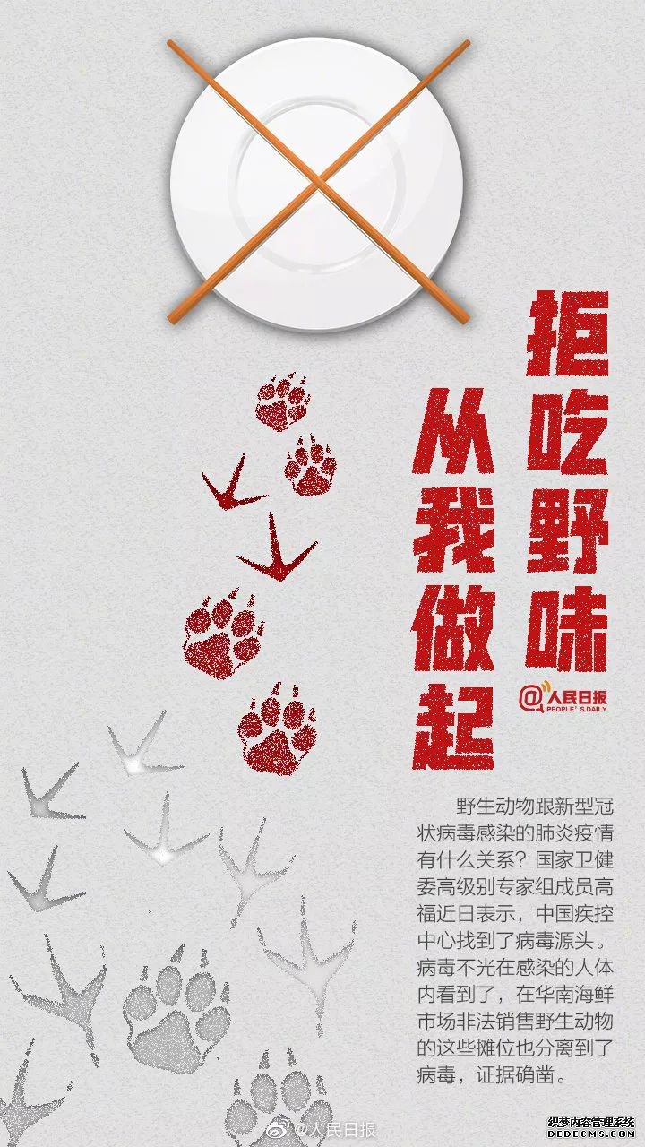 “美女吃蝙蝠”视频疯传,当事人道歉