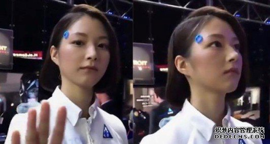 知否 | 为啥IT男偏爱开发女性机器人?难道是异性相吸?