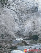 南部山区现艳阳飞雪奇观 我市今年首场瑞