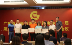 喜讯！蔓哲获得广东省时尚首饰及配饰协