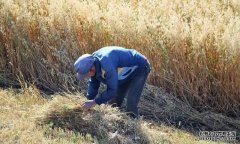 难道张家口归属于河北有点另类？来，给