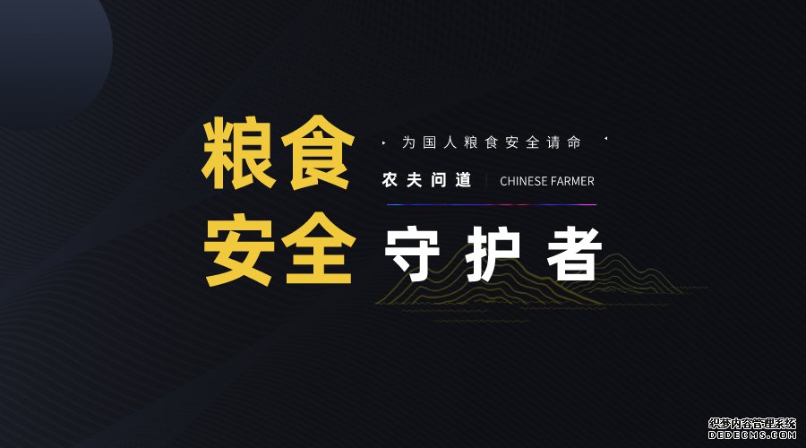 安全守护者.jpeg