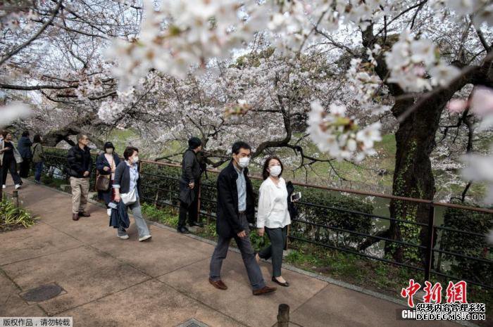 当地时间2020年3月22日，日本东京上野公园樱花绽放，吸引不少游人在樱花林间漫步、野餐。