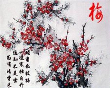 开心笑话大全