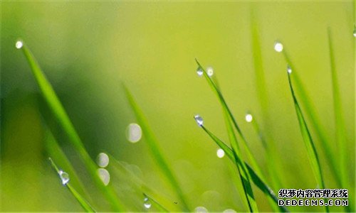 三压缩饼干喝水会撑死人