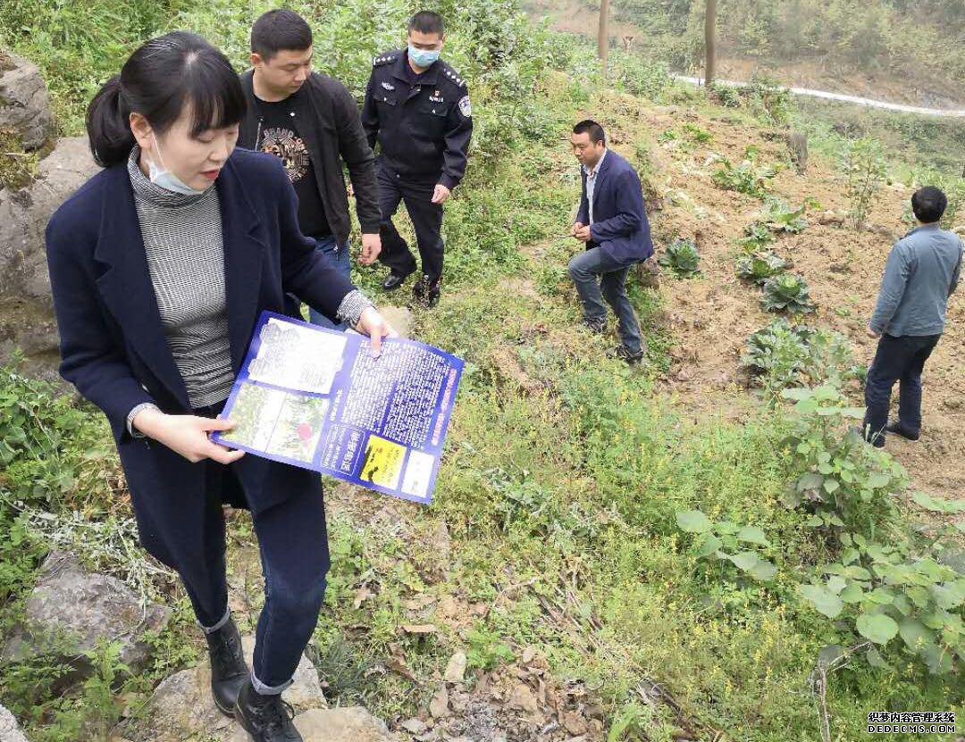 贵州省道真县：四个强化抓好禁种铲毒踏查活动