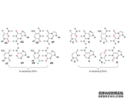 两院院士评选2019年中国、世界十大科技进展新闻