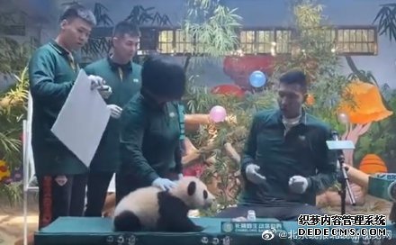 易建联被熊猫吓到，方硕反应亮了，网友：大哥不要面子的？