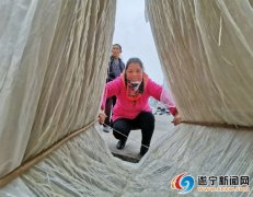疫情期间居家式扶贫作坊助农增收