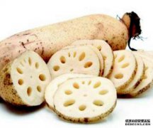 女性春季养生的四种食物