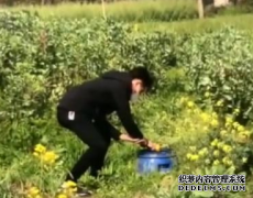 因为在家呆得实在太无聊了，竟然想出了