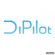 DiPilot——集智能、安全与个性化于一体的