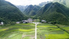 科技赋能架起“致富桥”