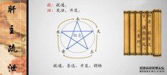肝最大的特点是：主疏泄，主藏血！