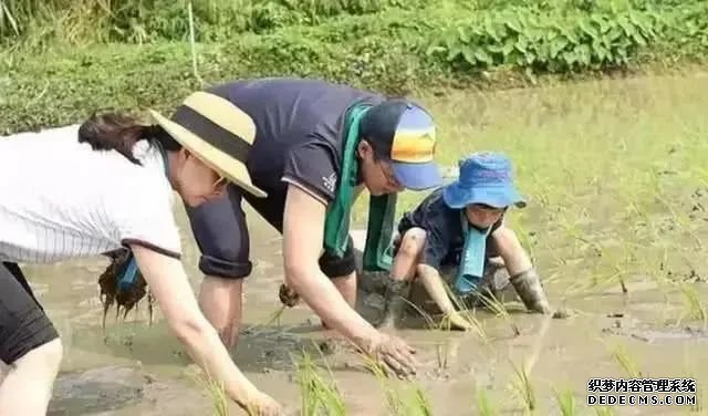 何雯娜的“卑微”，是婚后女性的修罗场？